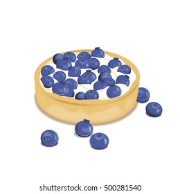 Cake with blueberries on a white background. Vector