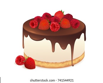 Cake with fresh berries and chocolate isolated on white background. Vector illustration