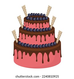 Cake isolated on a white background.