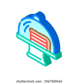 cake piece isometric icon vector. cake piece sign. isolated symbol illustration