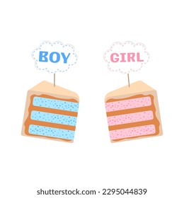 Cake for revealing the child's gender