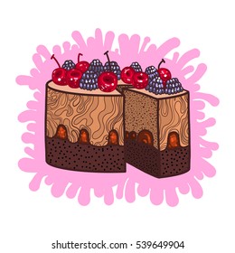 Cake, vector illustration, desert, tasty food, delicious, cherry, strawberry, bilberry, raspberry, cream