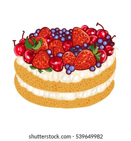 Cake, vector illustration, desert, tasty food, delicious, cherry, strawberry, bilberry, raspberry, cream