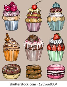 Cakes and cupcakes baked chocolate dessert, bakery set, vector illustration
