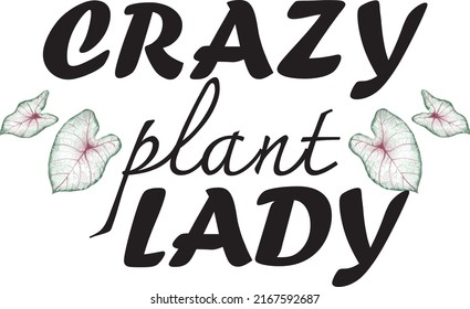 
Caladium bicolor and crazy plant lady text on white background.