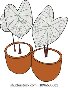 Caladium in ceramic flowerpot. Houseplant isolated. Trendy hugge style, urban decor. Hand drawn sketch, naive art. Print, poster, banner, wallpaper. Logo, label. vector illustration isolated.EPS 10.