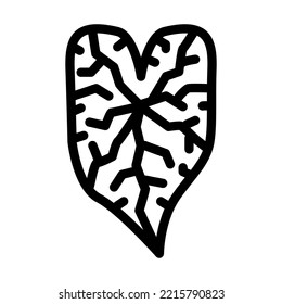 caladium tropical leaf line icon vector. caladium tropical leaf sign. isolated contour symbol black illustration