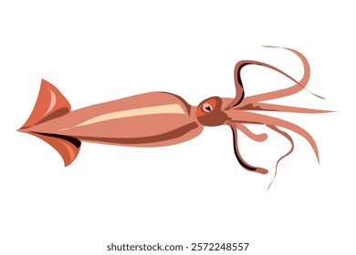 calamar or pink color squid marine mammal illustration