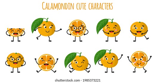 Calamondin citrus fruit cute funny cheerful characters with different poses and emotions. Natural vitamin antioxidant detox food collection. Vector cartoon isolated illustration. Children concept.