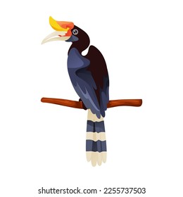 Calao bird or hornbill, vector icon or clipart.