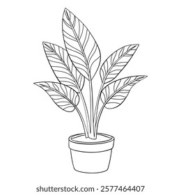 Calathea doodle style line art. calathea houseplant in pot Hand drawn black and white. Evergreen indoor plant foliage element for web graphic design poster tattoo Coloring page. Vector illustration