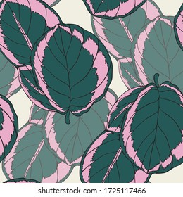 Calathea Flower. Leaves. Vegetation. Tropical plant. Seamless vector pattern with flowers. Hand drawing.