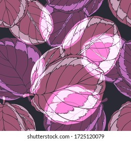 Calathea Flower. Leaves. Vegetation. Tropical plant. Seamless vector pattern with flowers. Hand drawing.