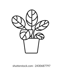 Calathea, line icon. Flowering tropical houseplant, linear illustration. Foliage, indoor plant, pottery pot. Pictogram, editable stroke, minimalist sign