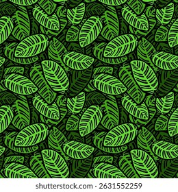 calathea plant leaves seamless pattern