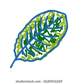 calathea tropical leaf doodle icon sketch vector. calathea tropical leaf sign. isolated symbol illustration
