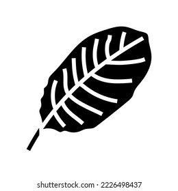 calathea tropical leaf glyph icon vector. calathea tropical leaf sign. isolated symbol illustration