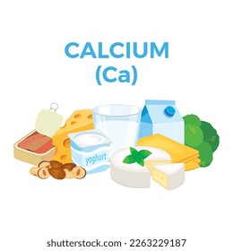 Calcium (Ca) in food icon vector. Calcium food sources vector illustration isolated on a white background. Milk, cheese, yogurt, hazelnuts vector. Pile of healthy fresh food drawing