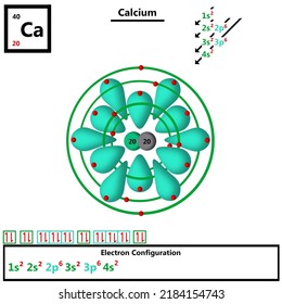 Calcium Ca periodic table element atomic model displaying protons and neutrons in nucleus vector electronic configuration of electrons in shells and orbitals orbiting atom quantum inorganic chemistry.