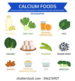 calcium foods, food info graphic, icon vector