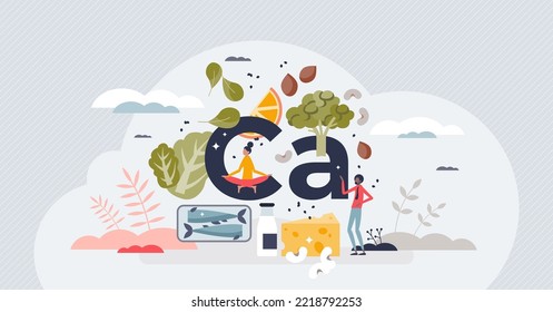 Calcium minerals and healthy eating diet for strong bones and teeth tiny person concept. Products list with rich in Ca micro elements vector illustration. Vitamins from leafy greens and dairy diet.