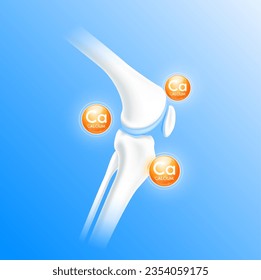 Calcium orange surround bone cartilage. Vitamins minerals care bone knee joint. Healthy human skeleton anatomy isolated on blue background. Realistic 3D vector.