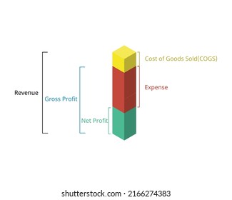 calculate gross profit and net profit to see the difference in balance sheet