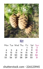 Calendar 2015 vector design template