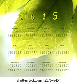 Calendar 2015 - Vector Illustration Design with Blurred Background