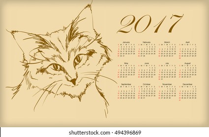 Calendar 2017. Cute kitten.