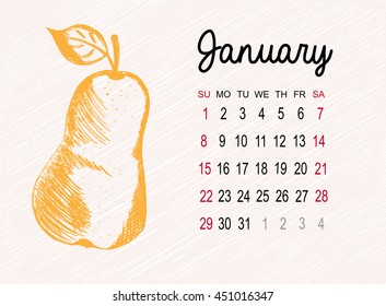 Calendar for 2017 on fruits background. January month with pear hand made in sketch style. Vector illustration