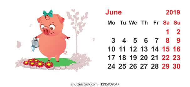 Calendar 2019 june grid template. Pig watering flowers. Isolated on white vector cartoon illustration