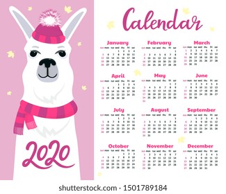 Calendar for 2020 from Sunday to Saturday. Cute llama in hat with fluffy pom pom and scarf. Alpaca cartoon character. Funny animal.