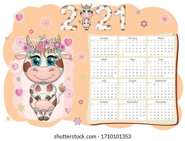 Calendar 2021. The bull is a symbol of the new year, Cartoon cow. Chinese horoscope calendar. Week starts on Sunday.