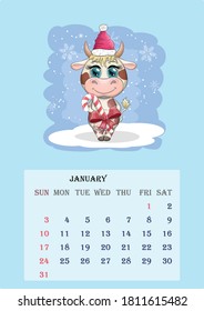 Calendar 2021. Cute cow for every month. Calendar 2021. Cute bull and cow for January.