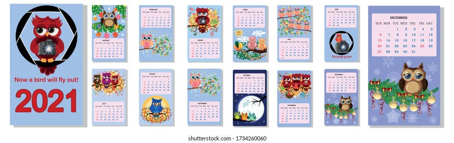 Calendar 2021. Cute owls and birds for every month