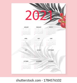Calendar 2021. Simple minimal design  with shadow from palm leaves. Week starts from Sunday.
