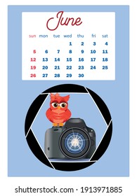 Calendar 2022. Cute owls and birds for every month. Wall vertical calendar for 2022, the week starts on Sunday. A4 format.