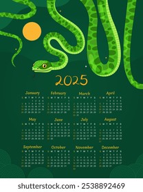 Calendar 2025. 12 months, starting from Sunday. New Year of the Snake. Lunar New Year or Chinese New Year. Green curved snake and full moon on a dark green background. Zodiac animal cartoon character.