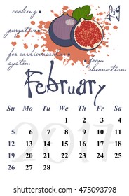 Calendar design grid with useful properties of fruits and dates of winter month February 2017. Fig. Vector illustration
