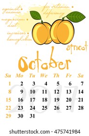 Calendar design grid with useful properties of fruits and dates of autumn month October 2017. Apricot. Vector illustration