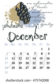 Calendar design grid with useful properties of fruits and dates of winter month December 2017. Jaboticaba. Vector illustration