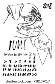 Calendar with dry brush lettering. August 2018. Dog with colorful ice cream. Cute pug portrait. Vector illustration.