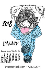 Calendar with dry brush lettering. January 2018. Dog with knitted scarf. Cute pug portrait. Vector illustration