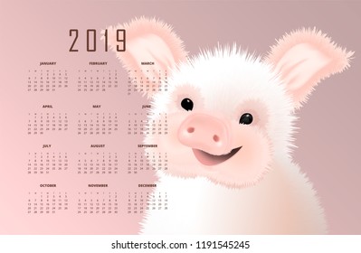 Calendar with the eastern symbol of 2019 the Pig. Happy smiling cute small piggy vector illustartion on pink background