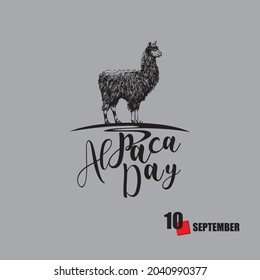 The calendar event is celebrated in September - Alpaca Day