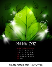 Calendar for january 2012