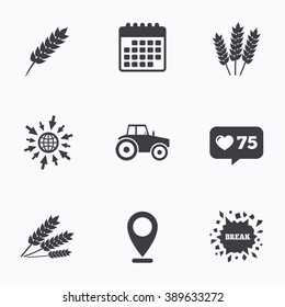 Calendar, like counter and go to web icons. Agricultural icons. Wheat corn or Gluten free signs symbols. Tractor machinery. Location pointer.