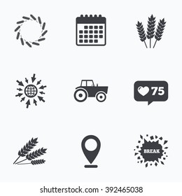 Calendar, like counter and go to web icons. Agricultural icons. Wheat corn or Gluten free signs symbols. Tractor machinery. Location pointer.