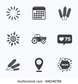 Calendar, like counter and go to web icons. Agricultural icons. Wheat corn or Gluten free signs symbols. Tractor machinery. Location pointer.